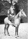 Ostrup-Arab.JPG (47861 bytes)