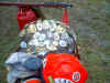 rideforamericachatsworthNJ_0001.jpg (55919 bytes)